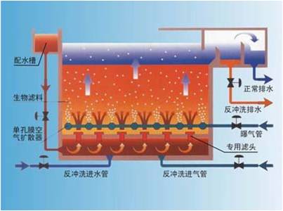 曝气生物滤池