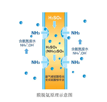 氨氮废水处理工程中所应用的脱氨技术