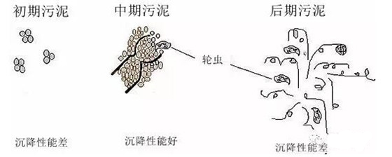 活性污泥的SVI（污泥体积指数）