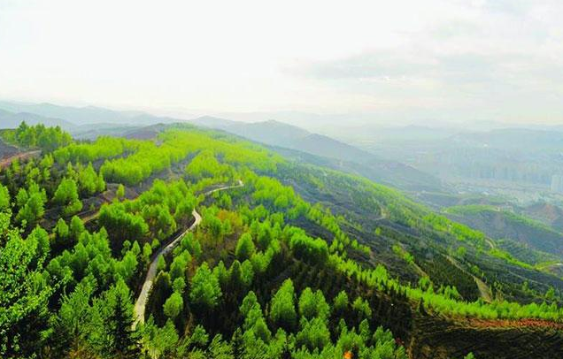 【世界防治荒漠化和干旱日】千赢国际环保一直在行动