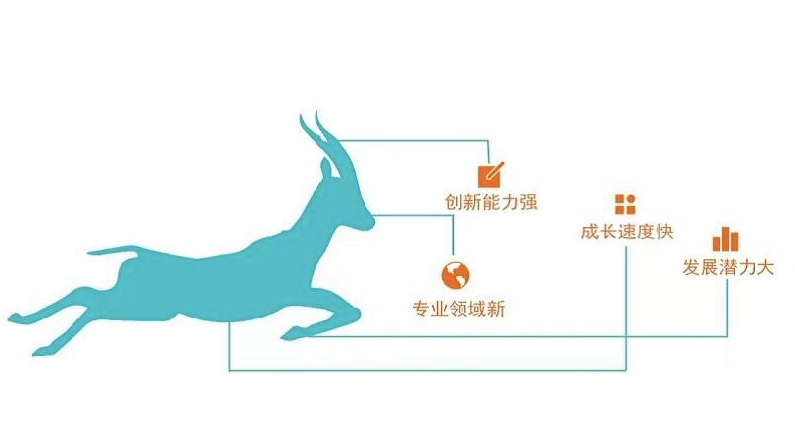 千赢国际入选2022江苏省瞪羚企业